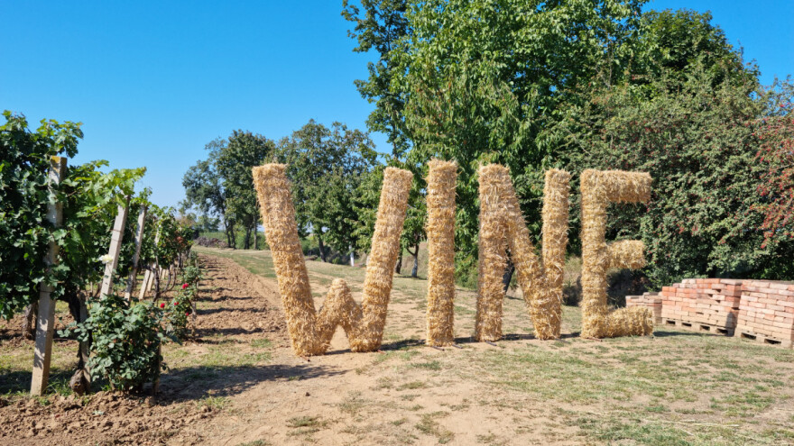 Vinarije Erdutskog vinogorja otvaraju podrume - vrijeme je za Wine & Bike Tour