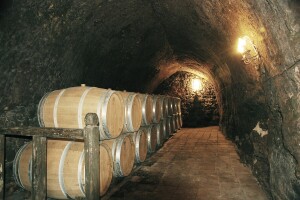 Pripremite se, uskoro objava natječaja za mjeru Ulaganja u vinarije i marketing vina