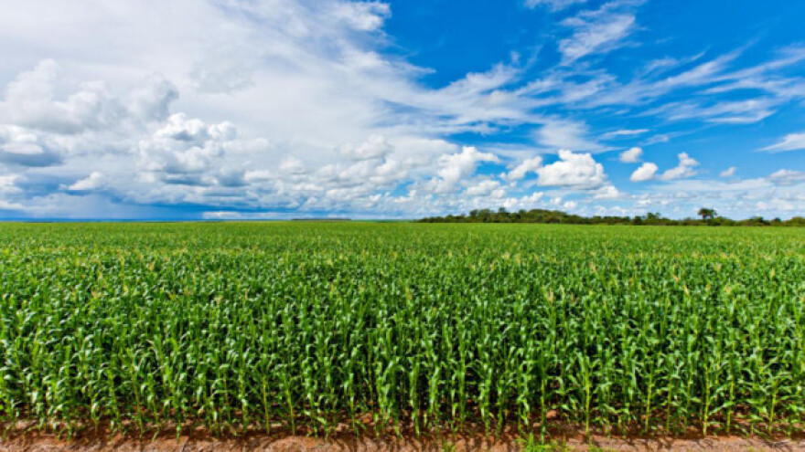 Dugotrajna zaštita od korova čak do 45 dana