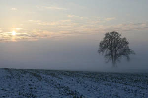 Smenjivanje sunca i oblaka