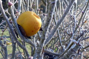 Temperature ove sedmice rastu, izmjenjivat će se oblaci i sunce