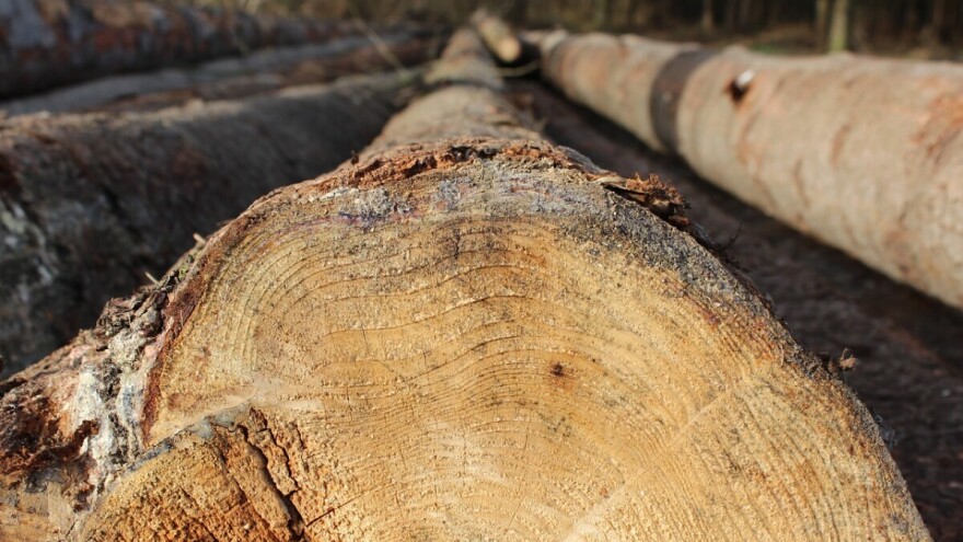 Smanjena proizvodnja šumskih sortimenata  za 1,14 posto