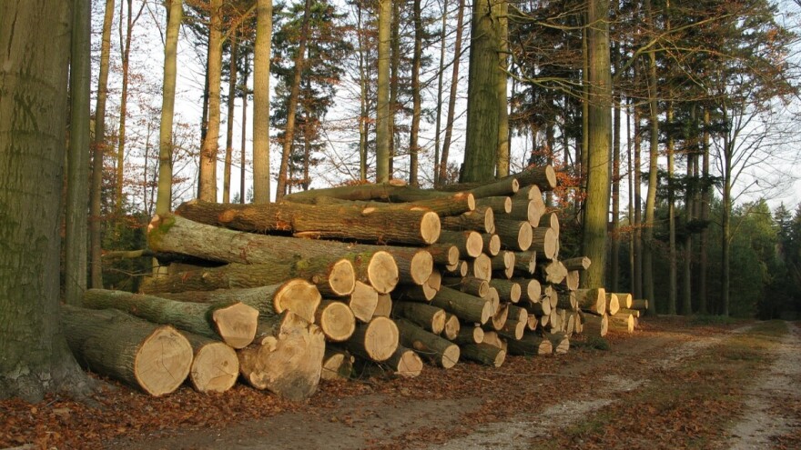 Nastupa potpuna zabrana izvoza ove prerađevine iz BiH?