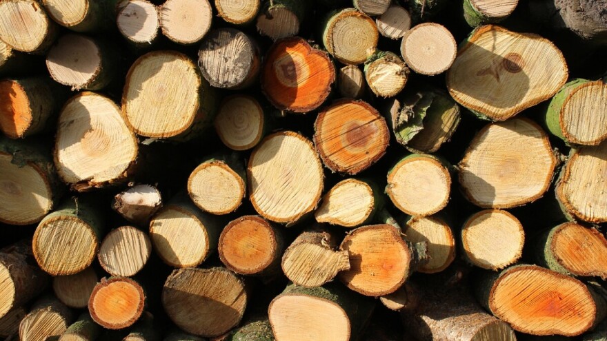 Policija upala u dvorište u Karanovcu i otkrila ilegalno posječena stabla