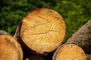 Javite se, osigurano 40 milijuna kuna za razvoj prerade drva