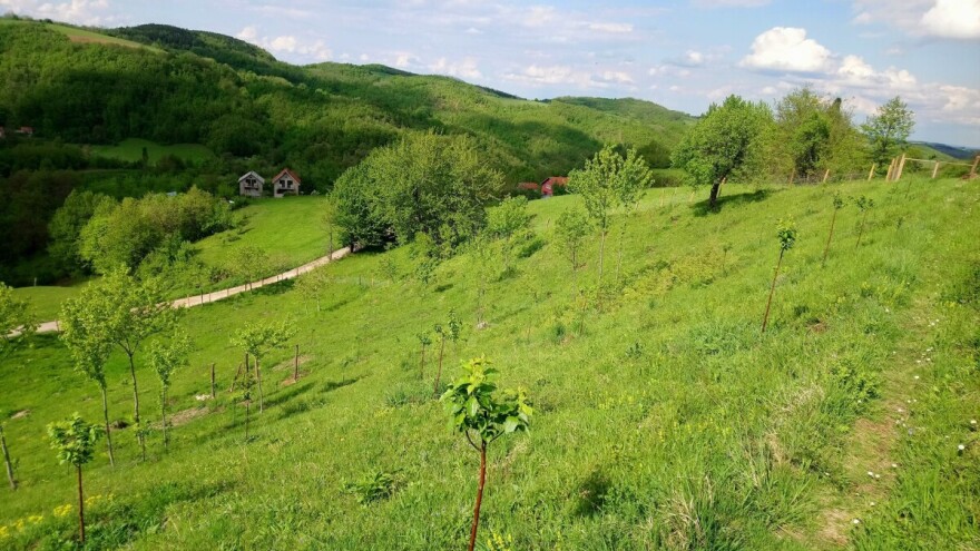 Zakup zemljišta obara rekorde: Stočarima 90.000 hektara