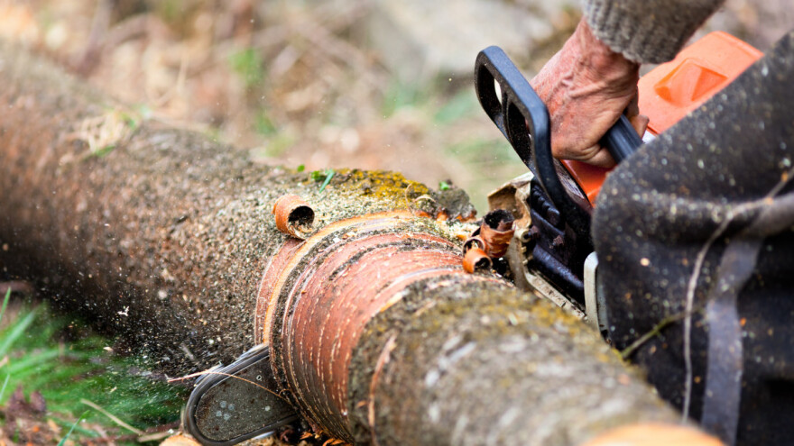 Lugar Hrvatskih šuma i poznanik mu pod istragom Uskoka
