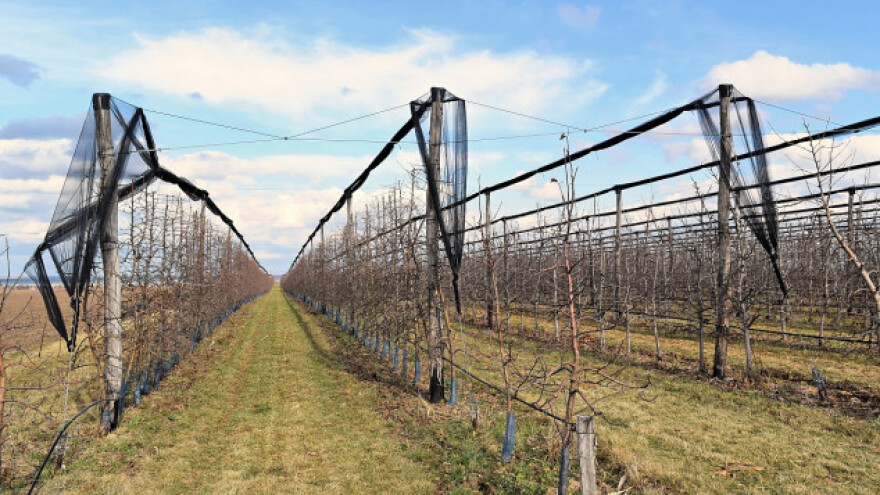 Podsticaji: voćnjaci, vinogradi, hmelj
