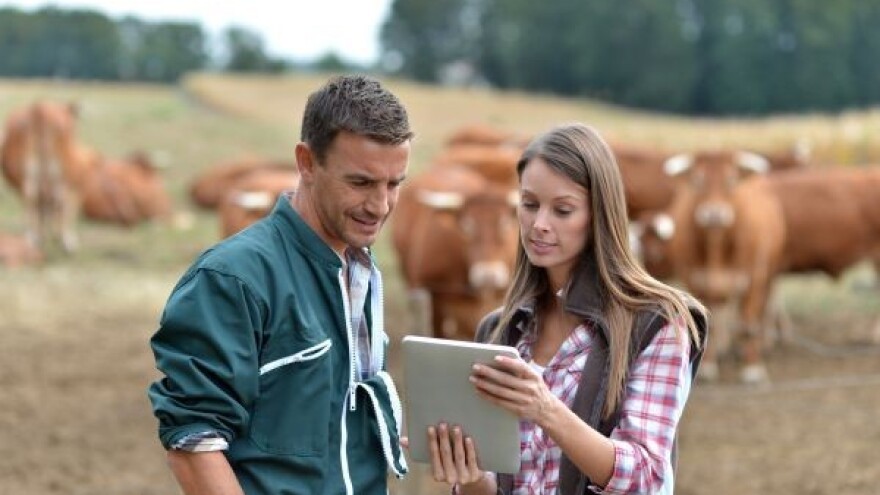 Ovo su poslovi budućnosti!