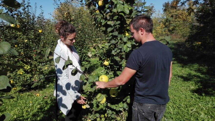 Kako mladi iz regiona koriste sredstva EU?