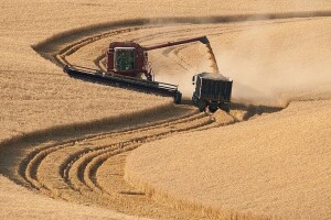 SAD zbog žetve izdao 49% više viza, no radnika i dalje nedostaje