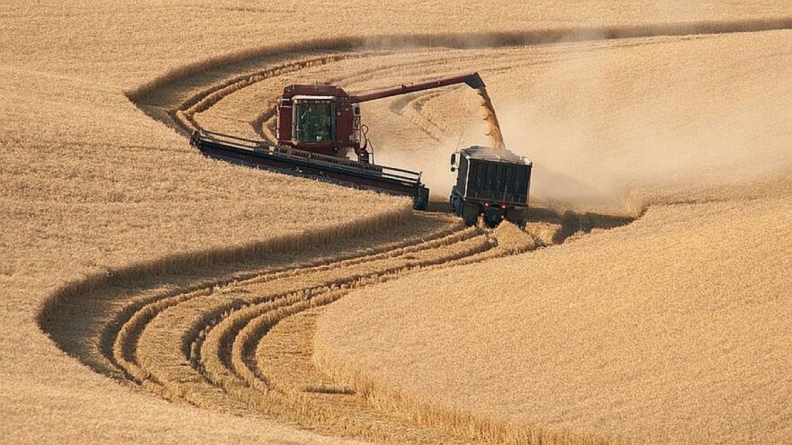 SAD zbog žetve izdao 49% više viza, no radnika i dalje nedostaje
