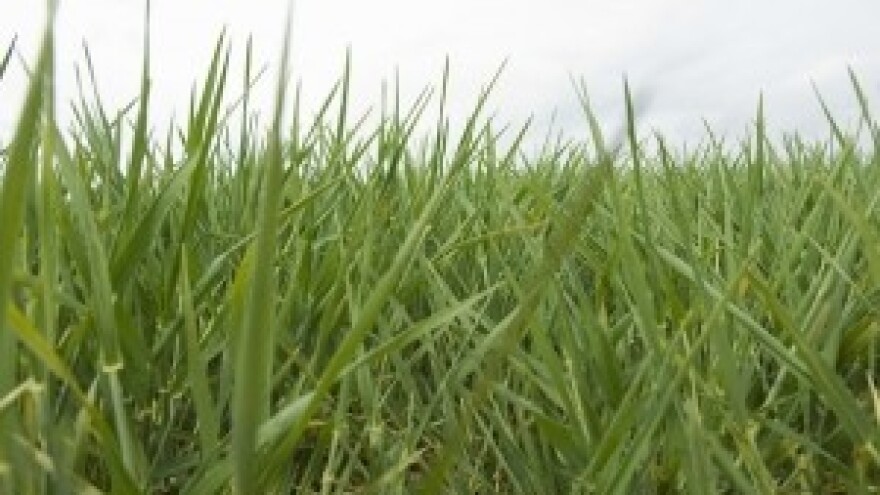 Osiguranje vrhunskih prinosa i kvalitete