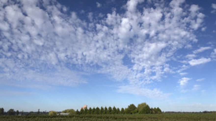 Monsanto i dalje ne odustaje od svojih namjera