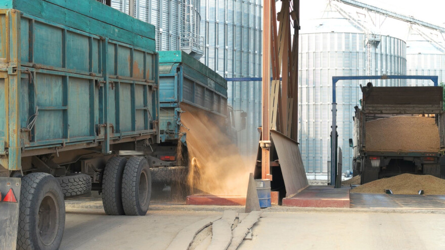 Povećan obim prometa i negatvan cenovni trend - kukuruz 31 din/kg bez PDV-a