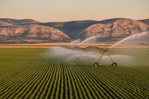 Za natapanje 32 milijuna kuna