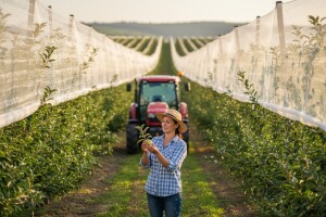 Za podizanje nasada jabuka i strojeve 750 tisuća kuna