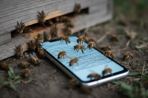 Za pomor populacije pčela krivi su mobiteli!