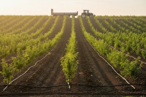 Za razvoj voćarstva 1,6 milijuna kuna