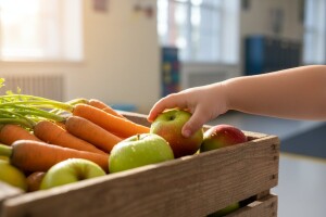 Za sve osnovnoškolarce besplatno voće i povrće