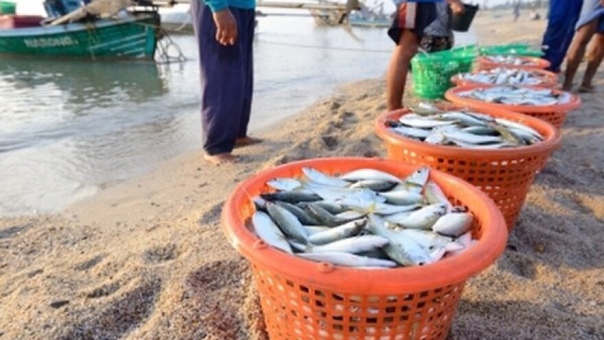 7 mil. kuna za razvoj udruženja u ribarstvu