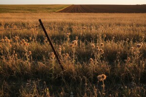 Za zapušteno zemljište kazna do pola milijuna kuna