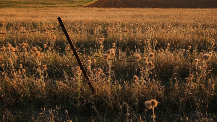 Za zapušteno zemljište kazna do pola milijuna kuna