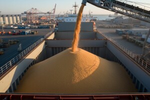 Zabeležen rekordan izvoz kukuruza!