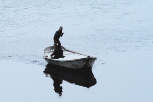 Zabrana plovidbe na Savi