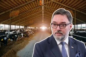 Zabrane, prelevmani i optužbe: Meso može, mlijeko ne može?