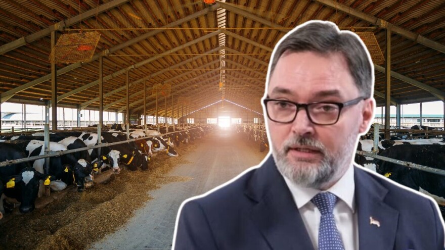 Zabrane, prelevmani i optužbe: Meso može, mlijeko ne može?