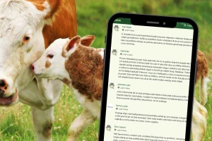 Stanje u hrvatskom govedarstvu: Što najviše muči čitatelje Agrokluba?