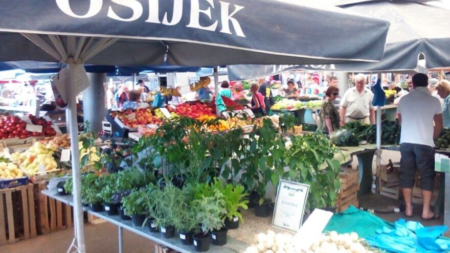 Začinsko i egzotično bilje prava poslovna ideja!