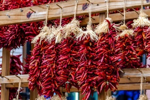 Začinska paprika - važan izvozni proizvod