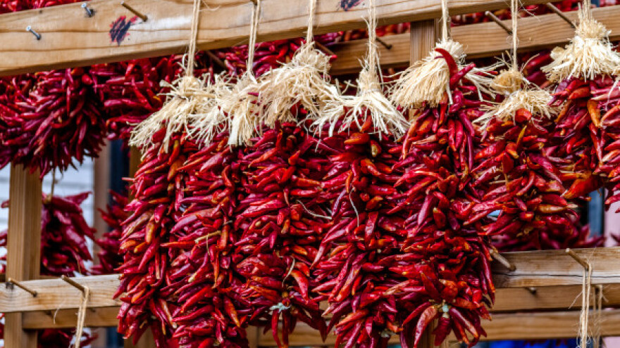 Začinska paprika - važan izvozni proizvod