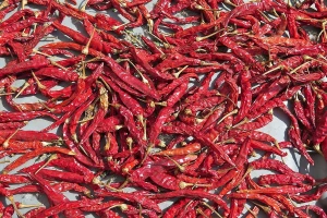 Vojvođanska začinska paprika bez premca u svetu