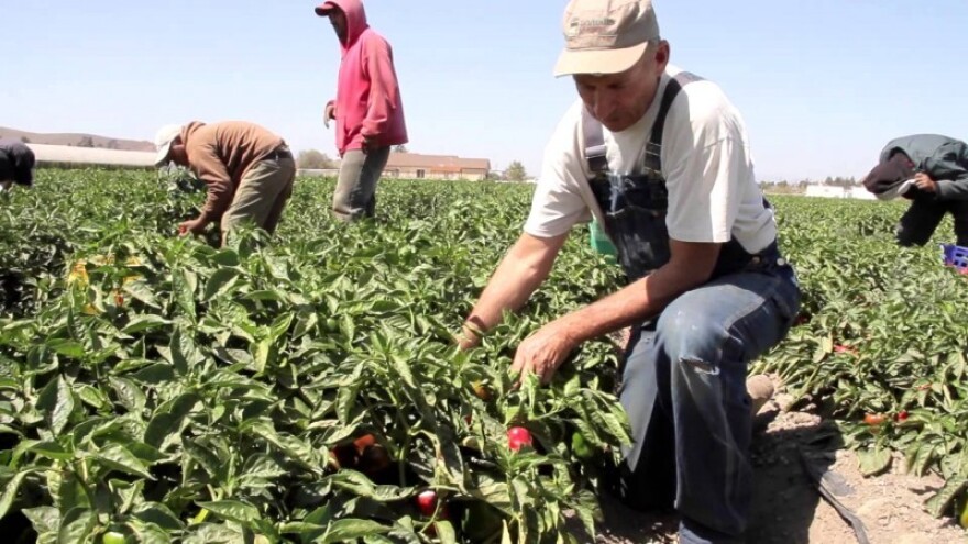 Kako razviti prepoznatljiv baranjski proizvod?