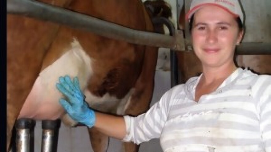 Zadruga Dar prirode - zbrajaju se sposobni mljekari