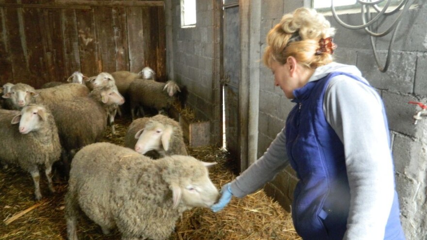 Miroslav Tasić Miško: Zadruga jača gazdinstva u Pomoravlju