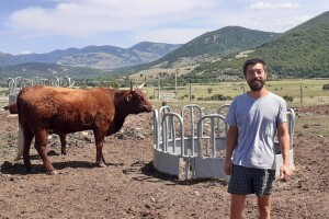 Velimir Platiša: Uzgoj goveda na krškim pašnjacima siguran je posao