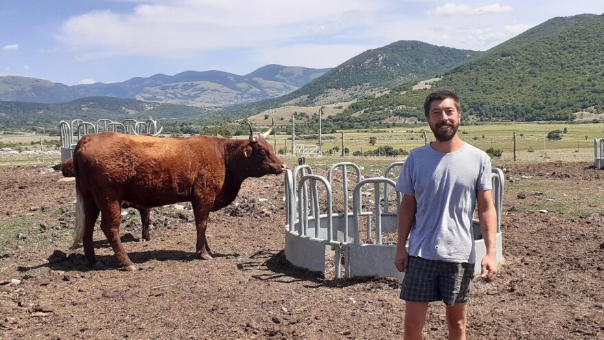 Velimir Platiša: Uzgoj goveda na krškim pašnjacima siguran je posao