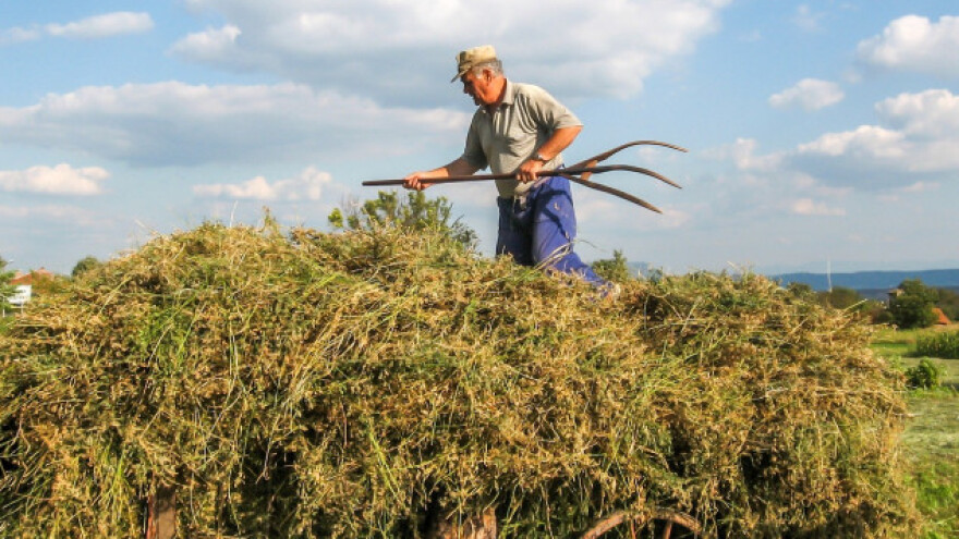 Međunarodna konferencija o zadrugama u Osijeku