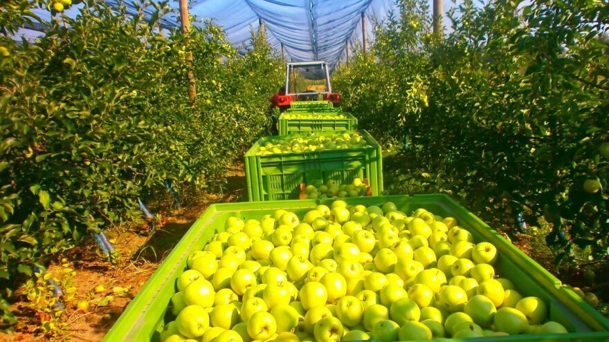Sredonjoškolci iz Rume osvojili nagradu za predstavljanje zadrugarstva