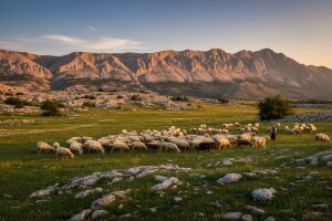 Zagora - smočnica Dalmacije