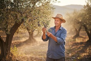Zagorac u eko maslinarskoj avanturi