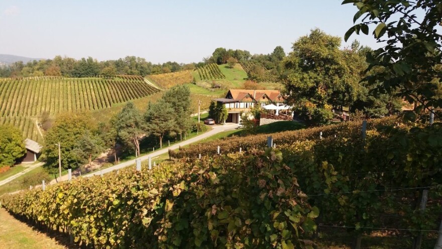 Vodeća županija po broju OPG-ova poljoprivrednicima osigurala 6,5 milijuna kuna potpore