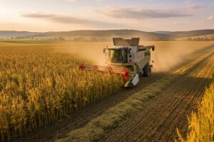 Zahtjevi za uzgoj konoplje premašili očekivanja