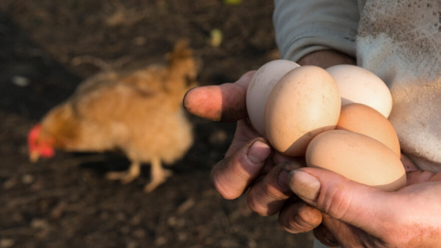 Ministar Mirjanić se sastao sa Zajednicom živinara