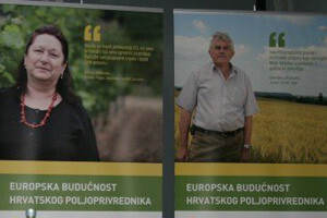 Pršut i kulen u Europi? Prvo razdvojite svinje!