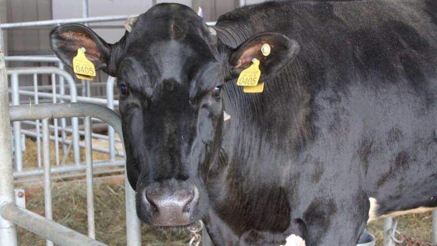 Pola milijarde kuna za Mikro i Male zajmove za ruralni razvoj